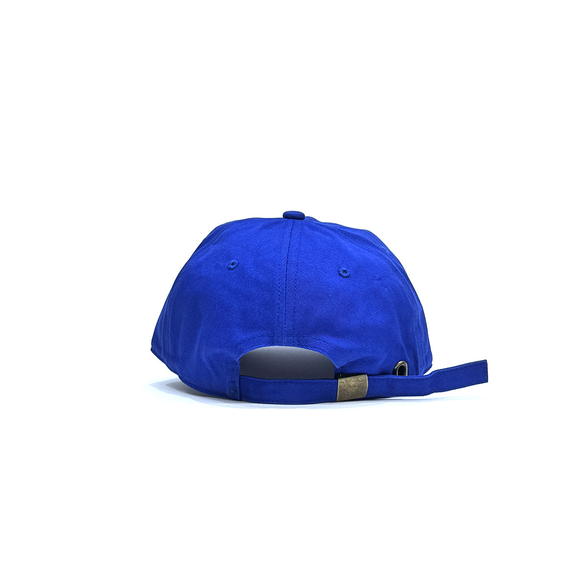 "Blue Bird" 6-Panel Curved Brim Cap
