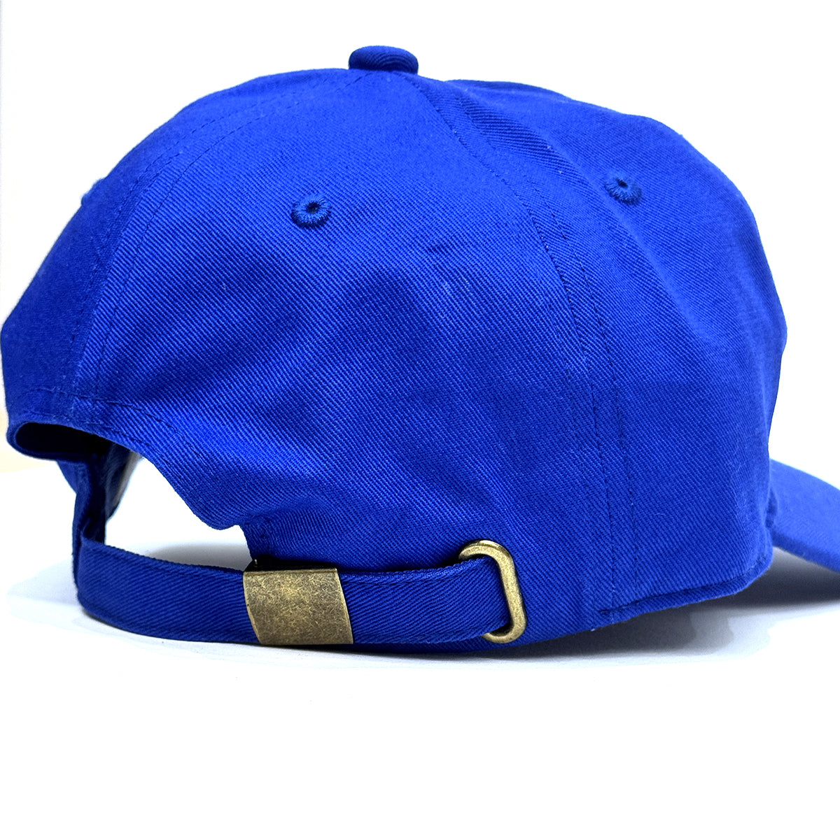 "Blue Bird" 6-Panel Curved Brim Cap
