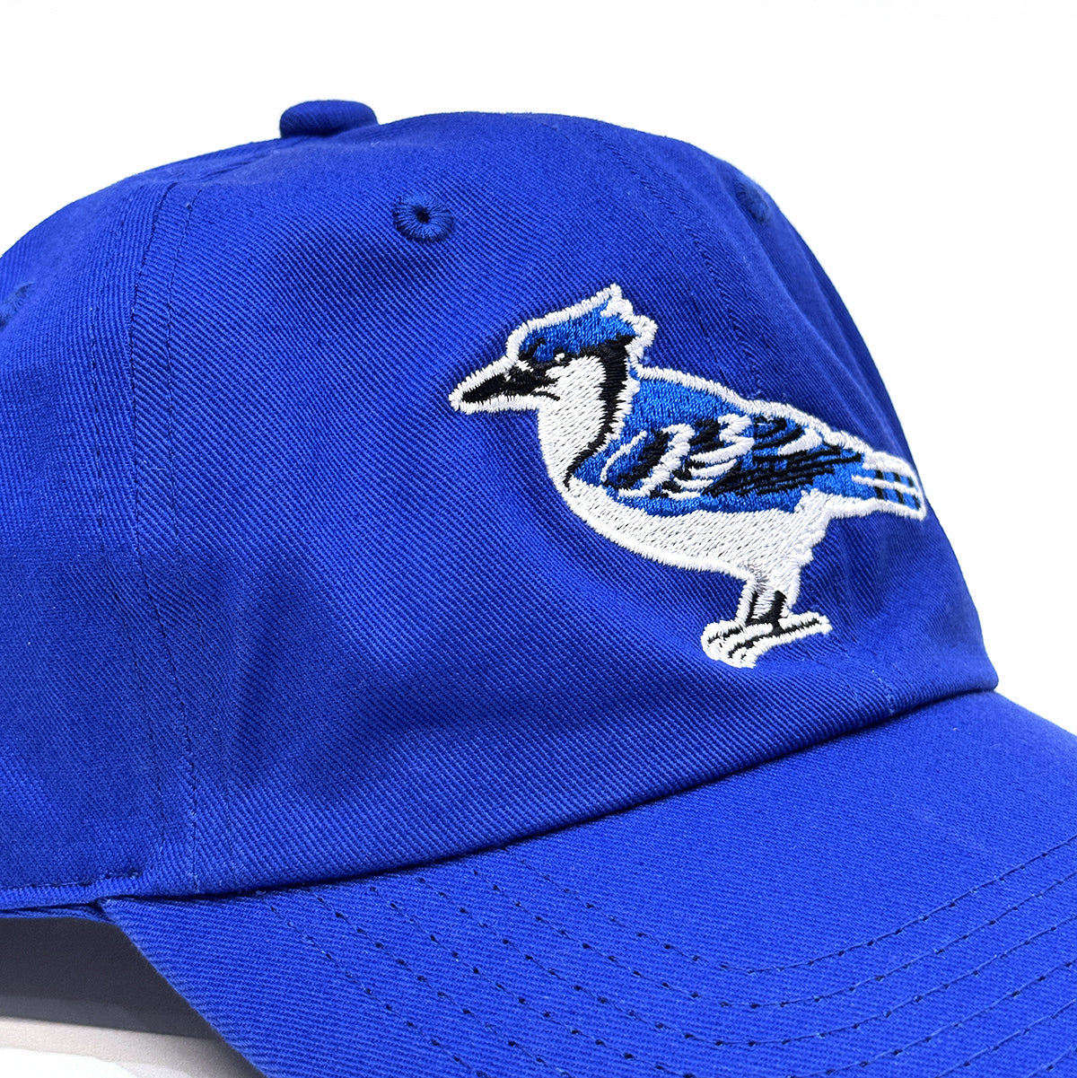 "Blue Bird" 6-Panel Curved Brim Cap