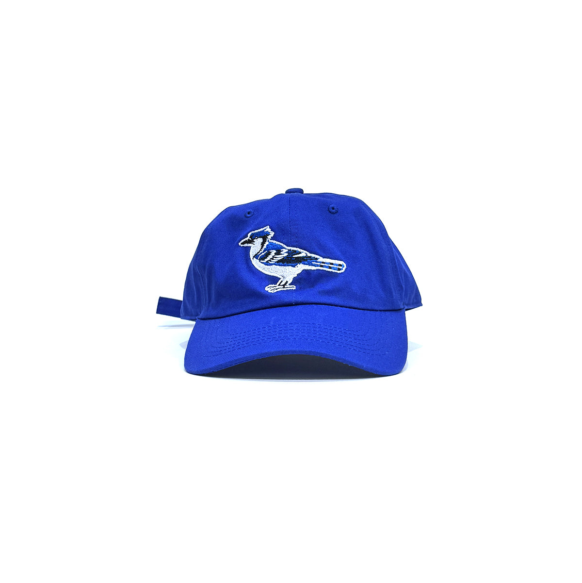 "Blue Bird" 6-Panel Curved Brim Cap