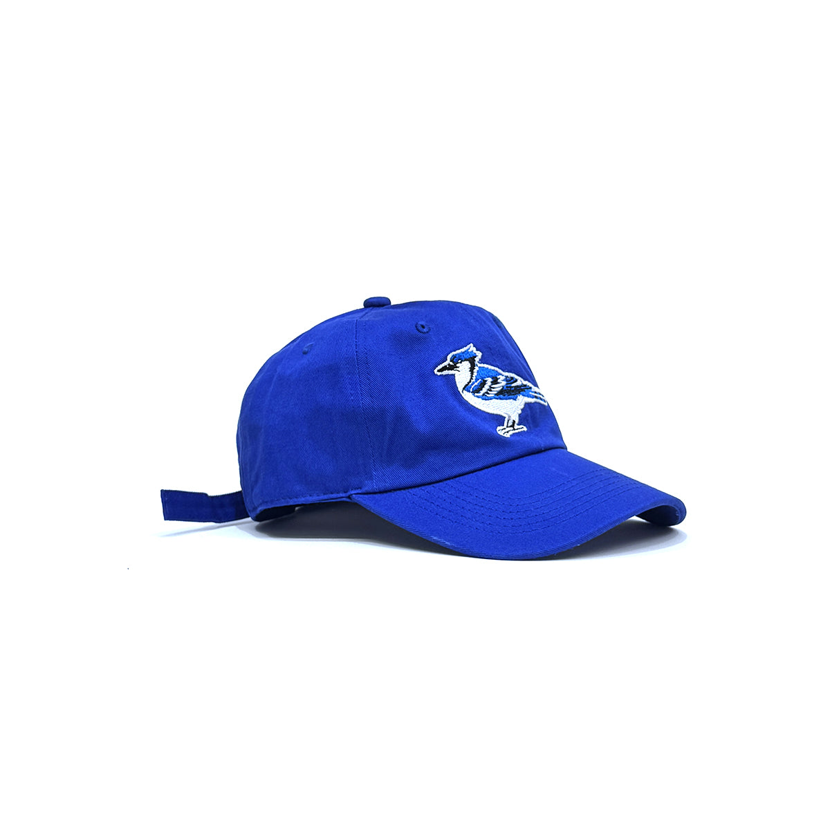 "Blue Bird" 6-Panel Curved Brim Cap